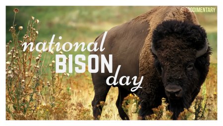 День бизона