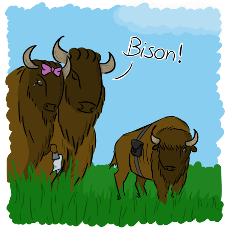 Bison Мем