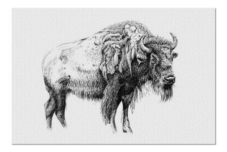 Самка бизона рисунок