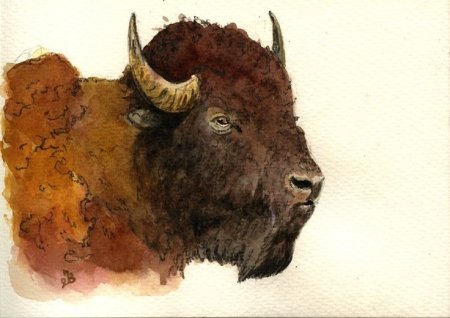 Голова бизона живопись