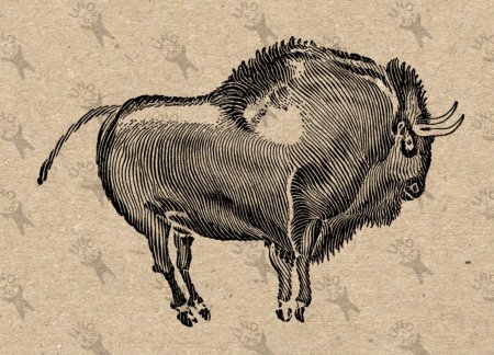 Скетч бизона