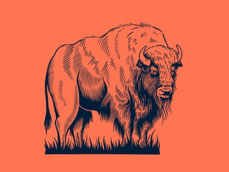 Красный Бизон