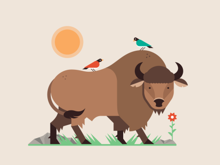 Буйвол для детей