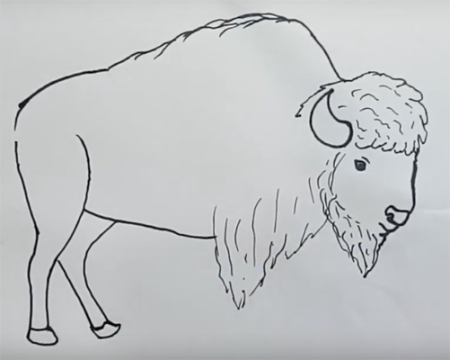 Бизон рисунок легкий