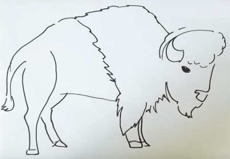 Бизон поэтапное рисование