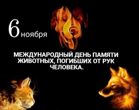 Международный день памяти животных погибших от рук человека 6 ноября