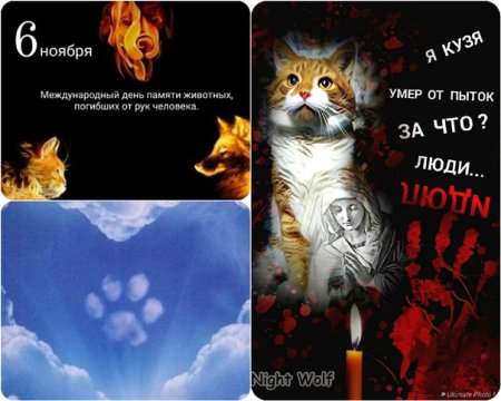 Международный день памяти животных, погибших от рук человека