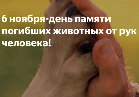 Международный день памяти животных погибших от рук человека 6 ноября