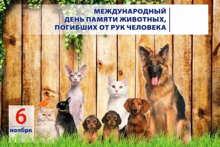 День памяти животных погибших от рук человека