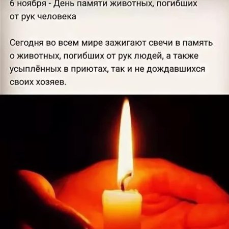 Международный день памяти животных погибших от рук человека 6 ноября