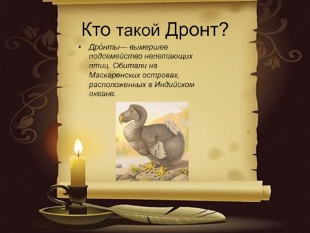 Международный день памяти животных, погибших от рук человека