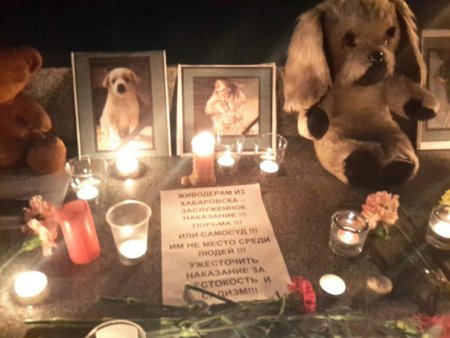 Международный день памяти животных, погибших от рук человека