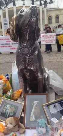 6 Ноября день памяти животных погибших