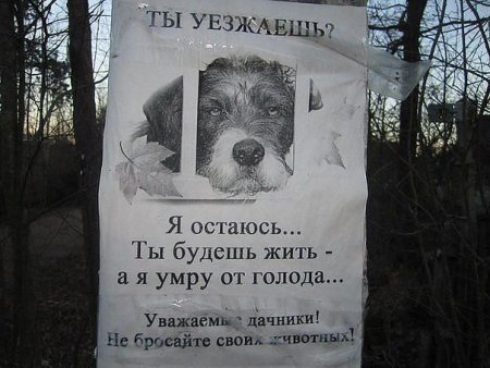 День животных погибших от рук человека