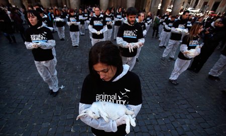 Всемирный день памяти животных погибших от рук