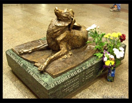 Памятник собаке в метро Менделеевская