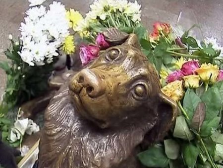 6 Ноября Международный день памяти животных