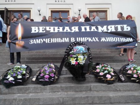 Международный день памяти животных, погибших от рук человека