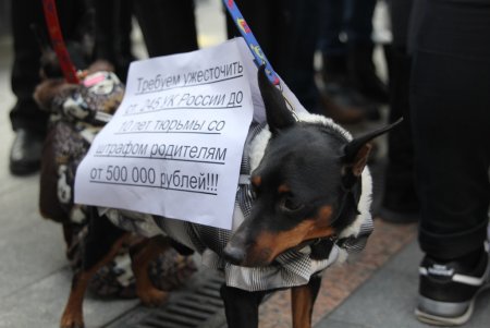 День памяти погибших животных