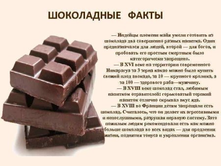 Полезные факты о шоколаде