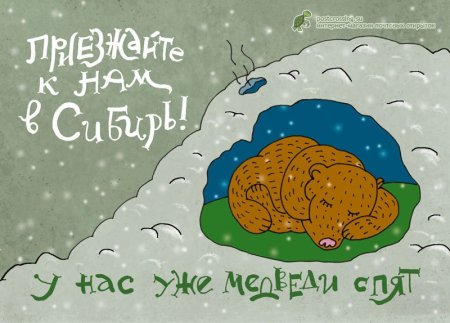 Открытка из Сибири