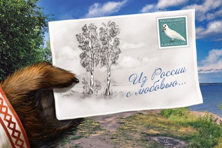 Открытка из Сибири