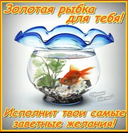 День исполнения желаний открытки