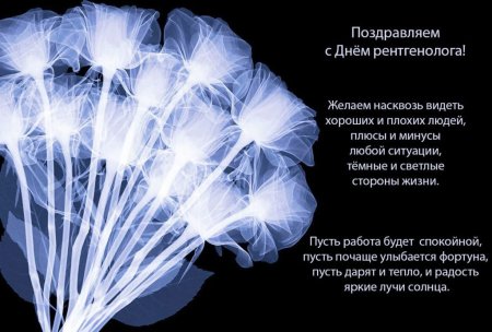 С днем рентгенолога поздравления прикольные