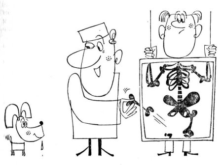 Рентген раскраска