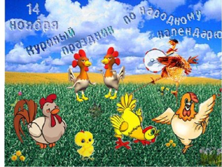 День курицы праздник