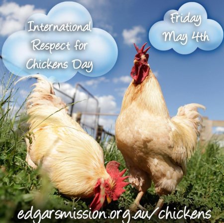 Международный день кур