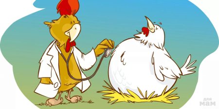 Курочка доктор