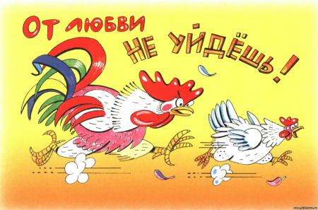 Открытки от любви не уйдешь