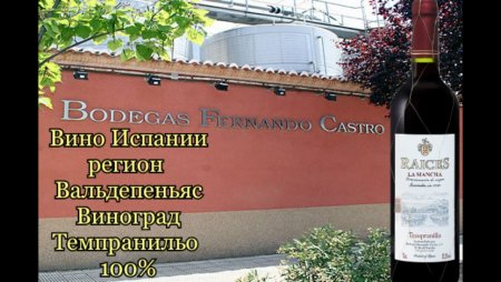 Вальдепеньяс винодельческий регион