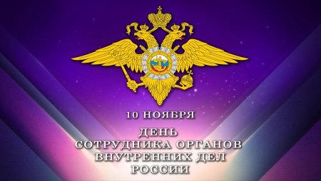 Органы внутренних дел РФ