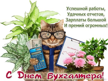 Поздравления с днём бухгалтера прикольные открытки