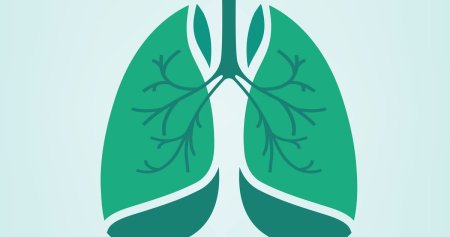 Туберкулез иконка