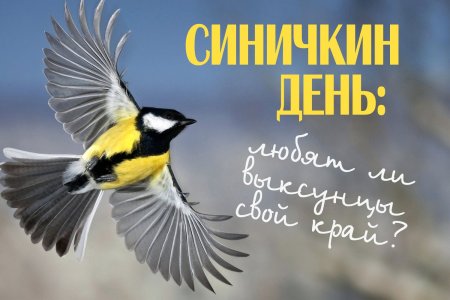 Праздник Синичкин день