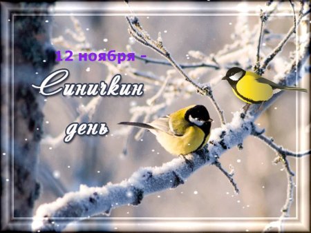 День синички 12 ноября