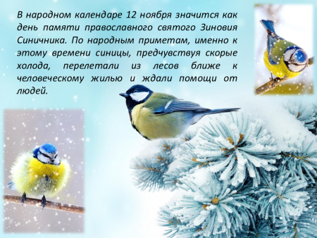 День синицы