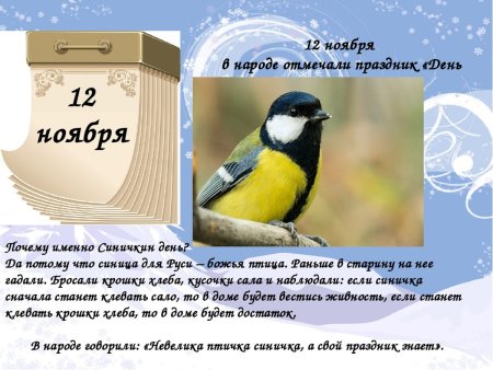 День синички 12 ноября