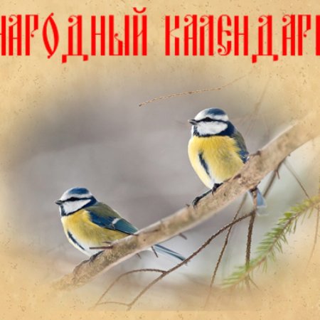 Зиновий и Зиновия, Синичкин день