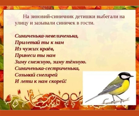 12 Ноября Зиновий и Зиновия Синичкин день Зиновий синичник