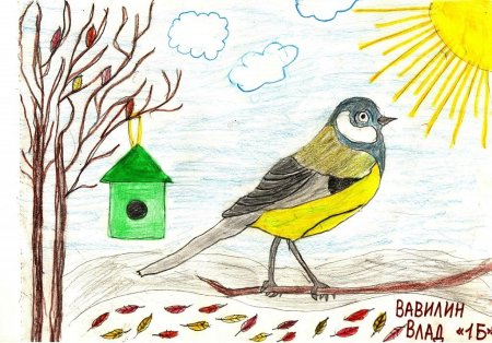 Синичкин день рисунок