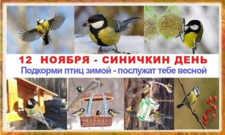 Открытки Синичкин день 12 ноября