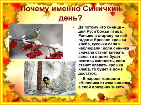 День синички
