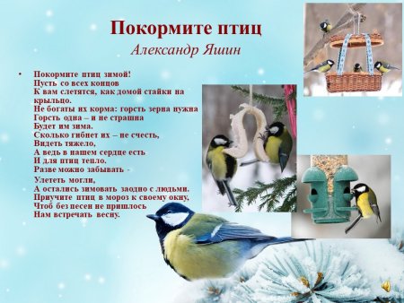 12 Ноября праздник Синичкин день