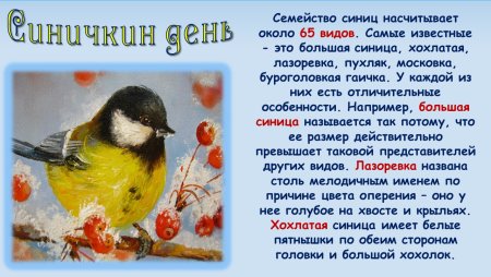 День синички 12 ноября