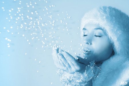 Дует снежинки