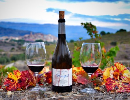 Испанские виноградники и вино